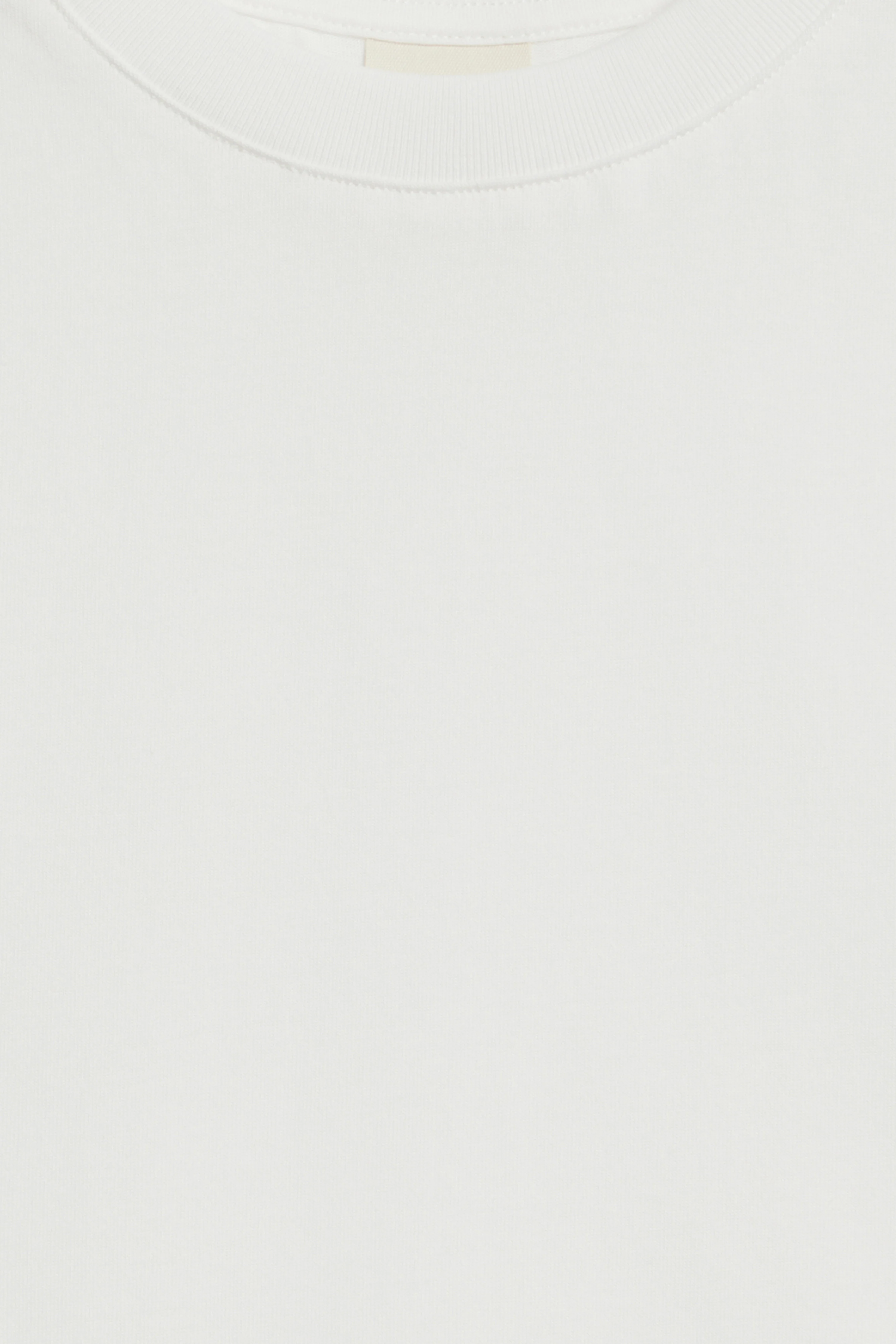 BASIC COTTON T-SHIRT - Image 5