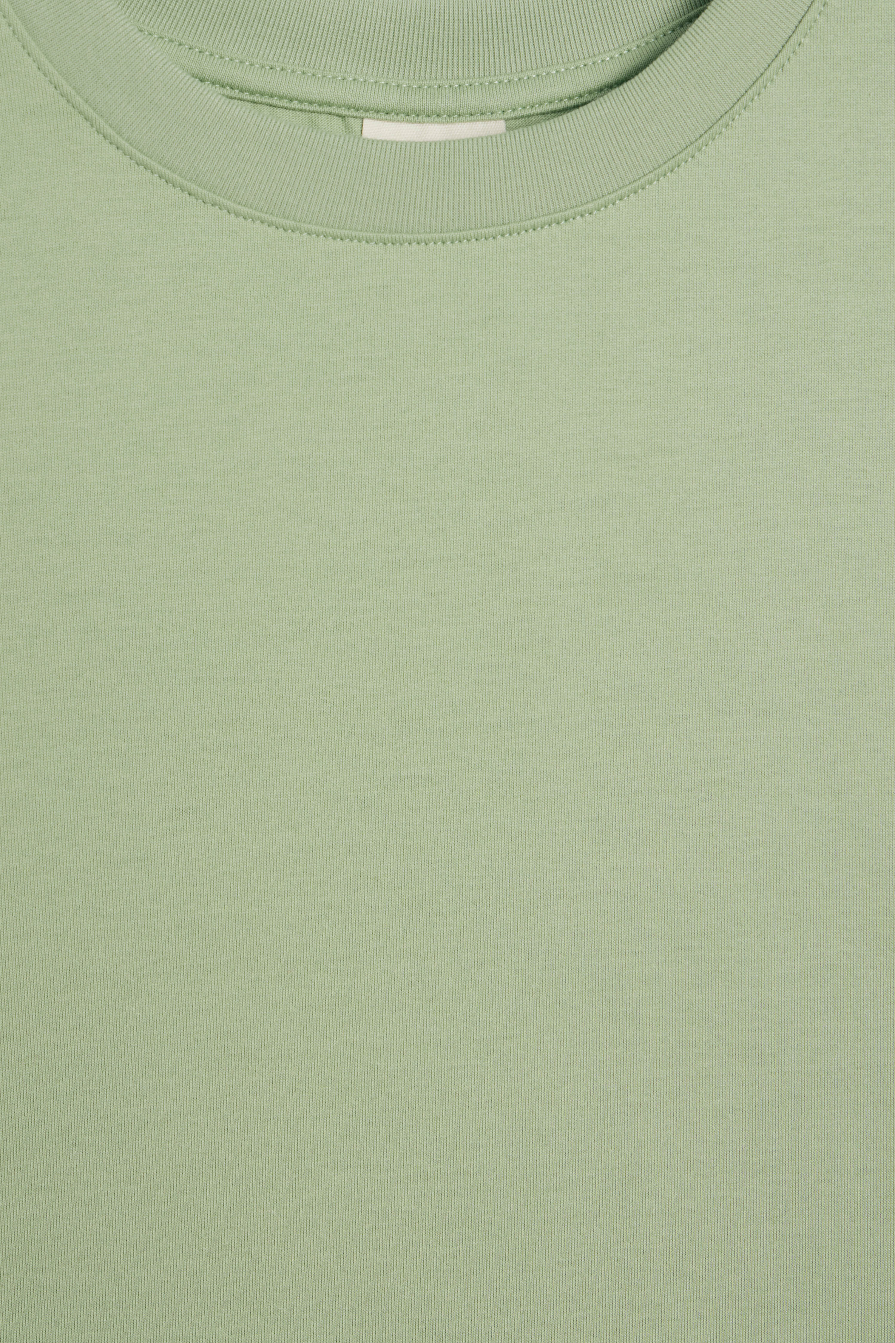 BASIC COTTON T-SHIRT - Image 5