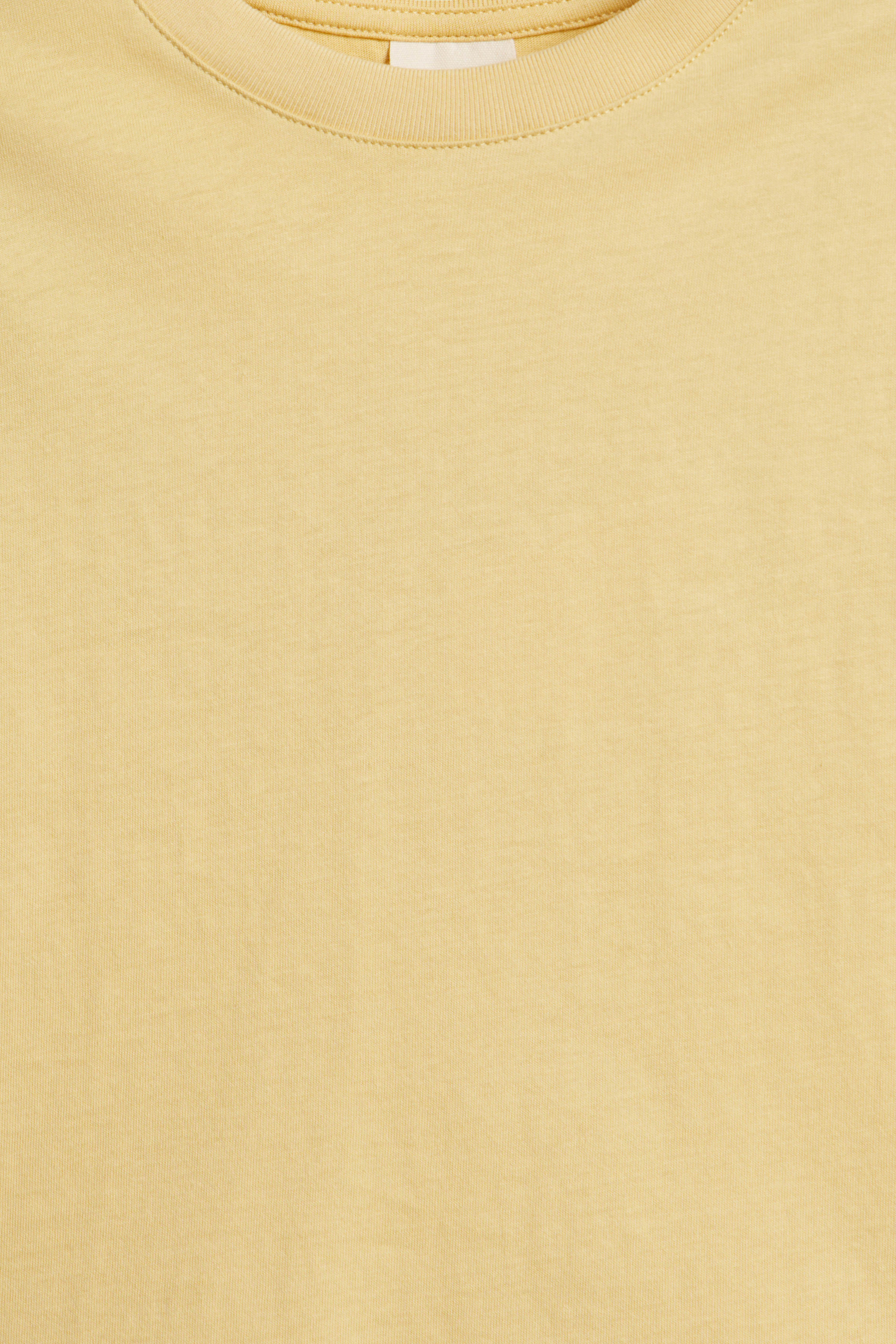 BASIC COTTON T-SHIRT - Image 6