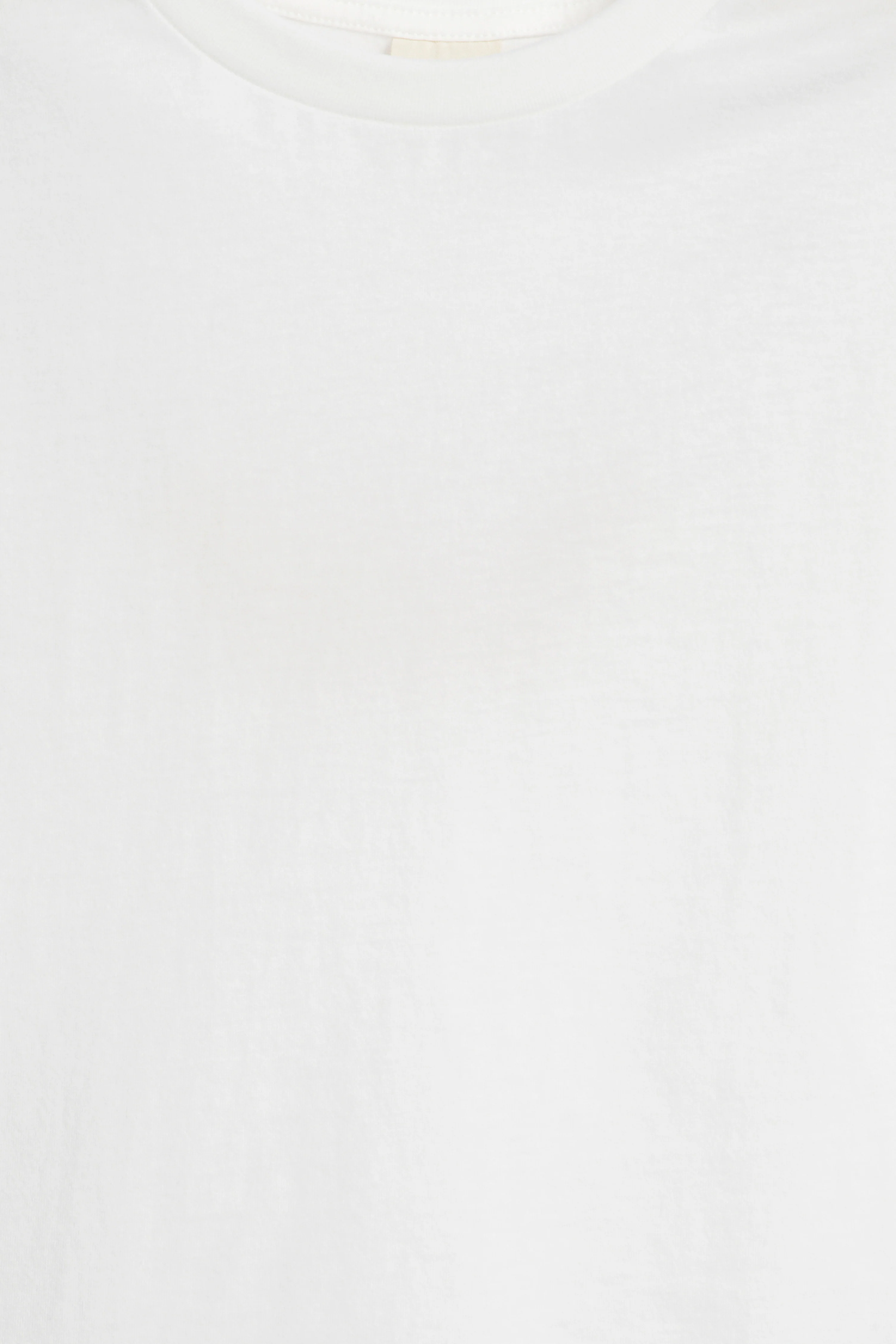 BASIC COTTON T-SHIRT - Image 5